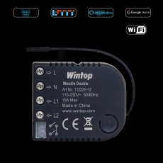 Wintop AI Wi-Fi Double switch module